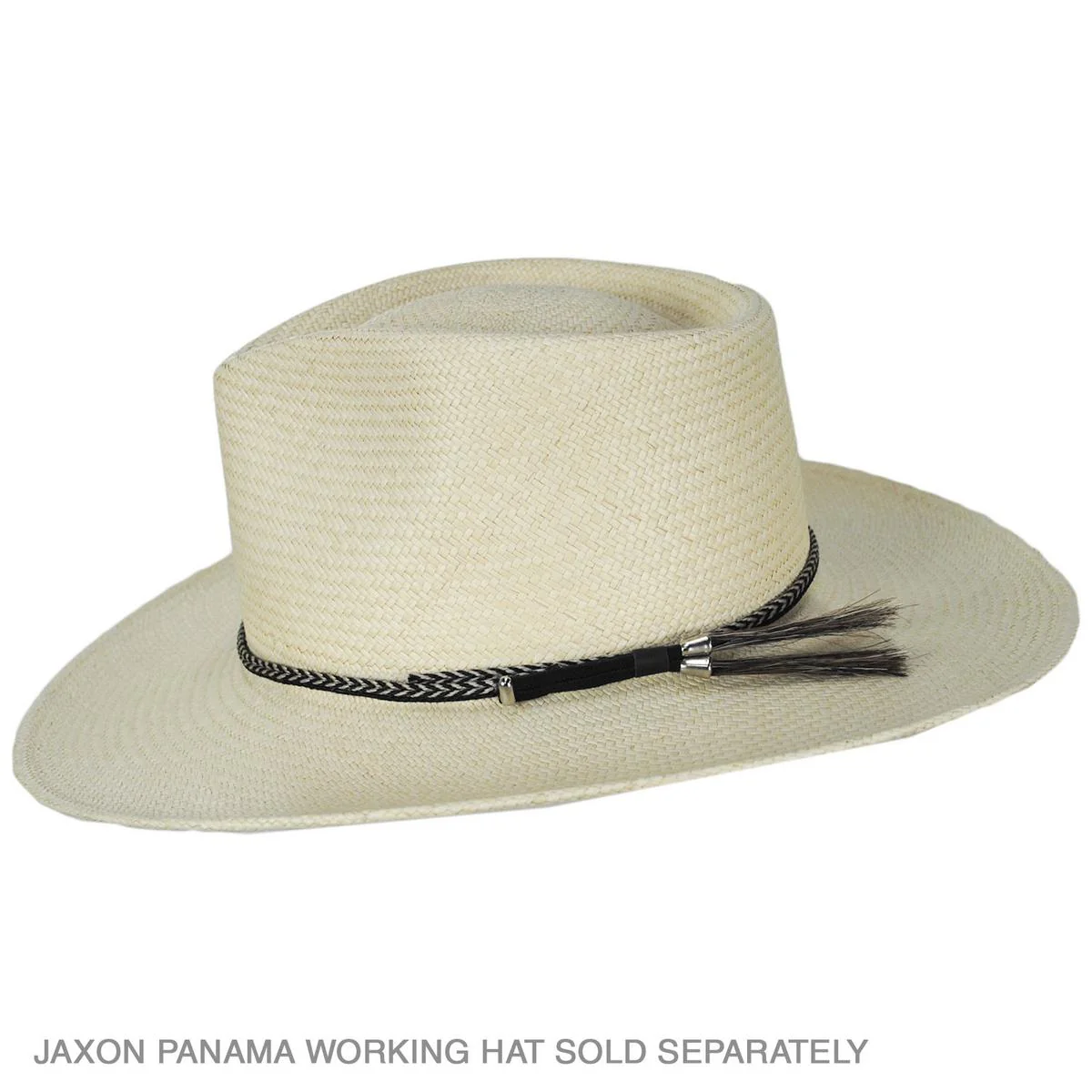 Horse Hair Braid with Side Double Tassels Hat Band - Image 3