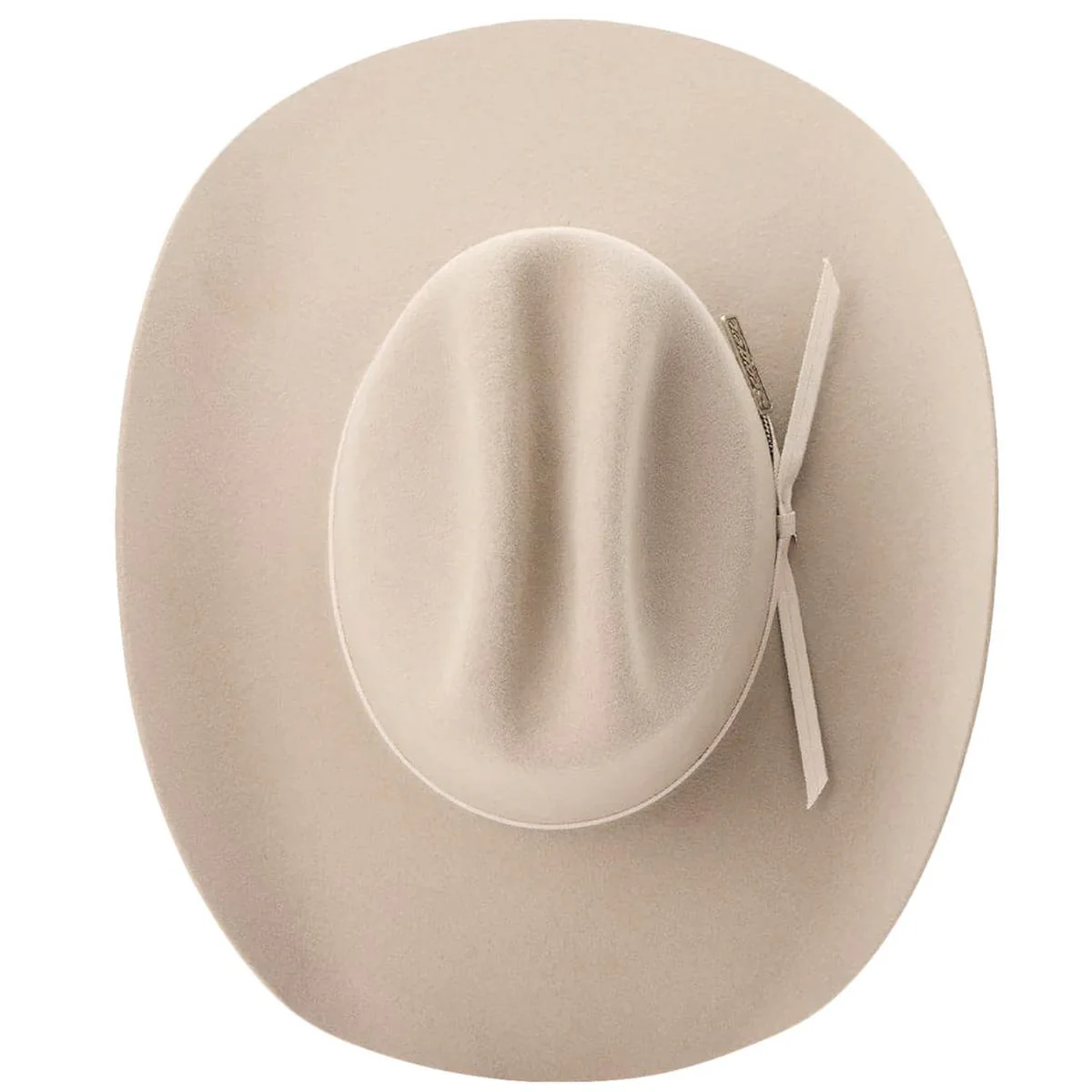 Longhorn Wool Felt Western Hat - Image 11