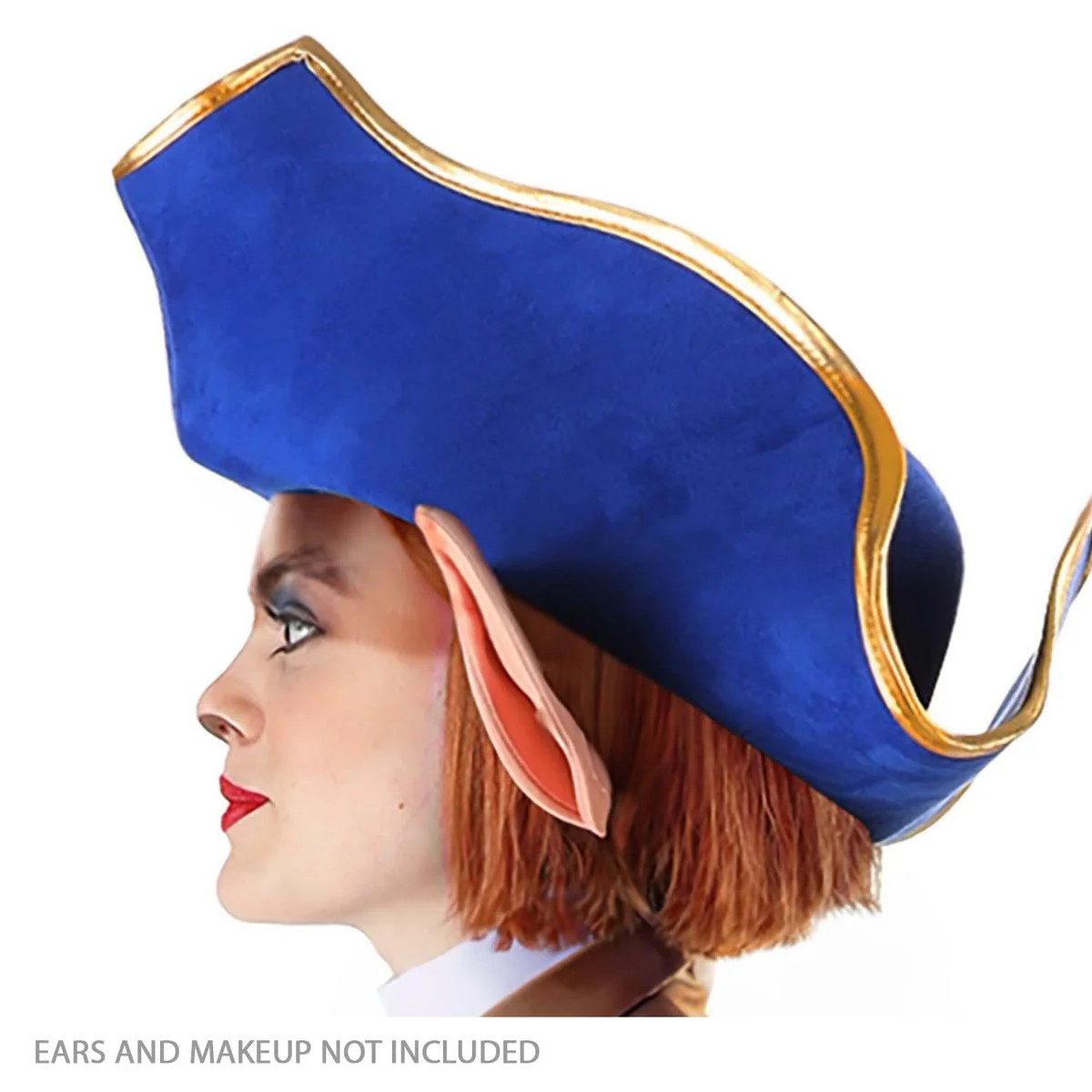 Treasure Planet Captain Amelia Hat - Image 5